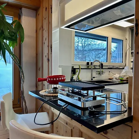 Chasa Stefania, Modernes Engadiner Haus Mit Wellness Und Sauna