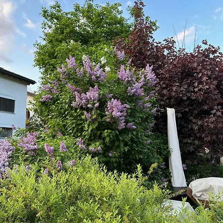 Chasa Stefania, Modernes Engadiner Haus Mit Wellness Und Sauna Holiday home Scuol