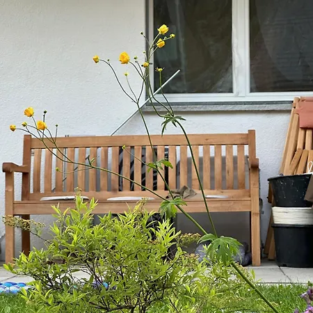 Chasa Stefania, Modernes Engadiner Haus Mit Wellness Und Sauna *
